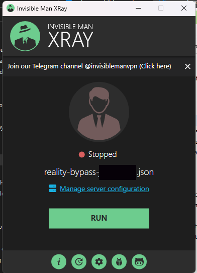 После этого нажимаем кнопку RUN и проверяем работу Vless