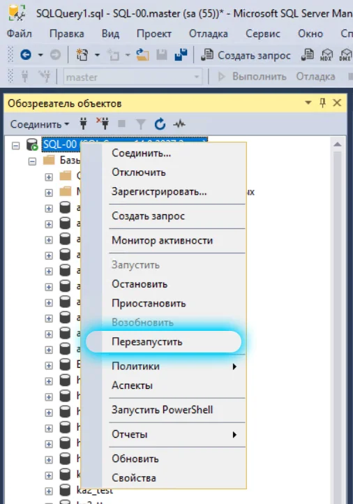 После выполнения запроса вам потребуется Перезапустить Microsoft SQL Server. В процессе перезапуска