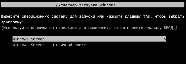 Меню загрузки с выбором раздела: загрузиться можно с обоих томов зеркала