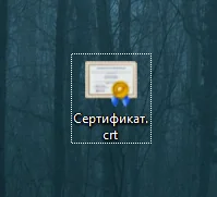 Скачиваем выданный вам файл сертификата и открываем его двойным щелчком