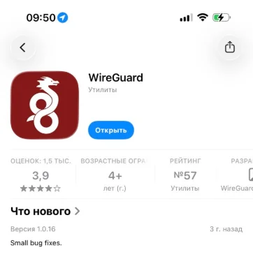 Скачайте приложение WireGuard из App Store